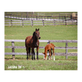 Load image into Gallery viewer, Prince of Monaco X Lazara 26' Candid Photo
