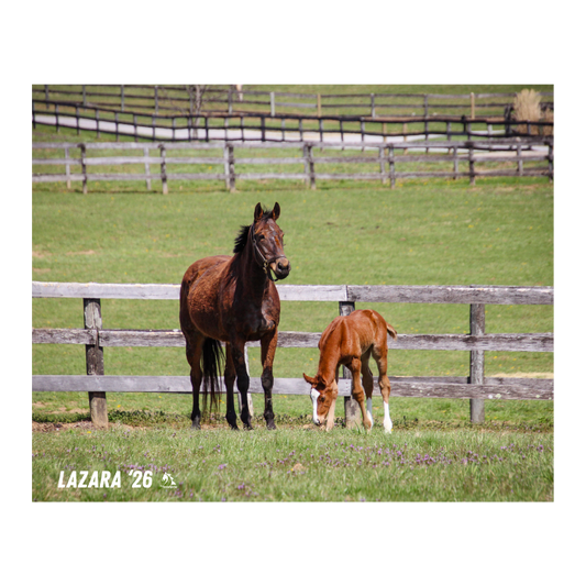 Prince of Monaco X Lazara 26' Candid Photo