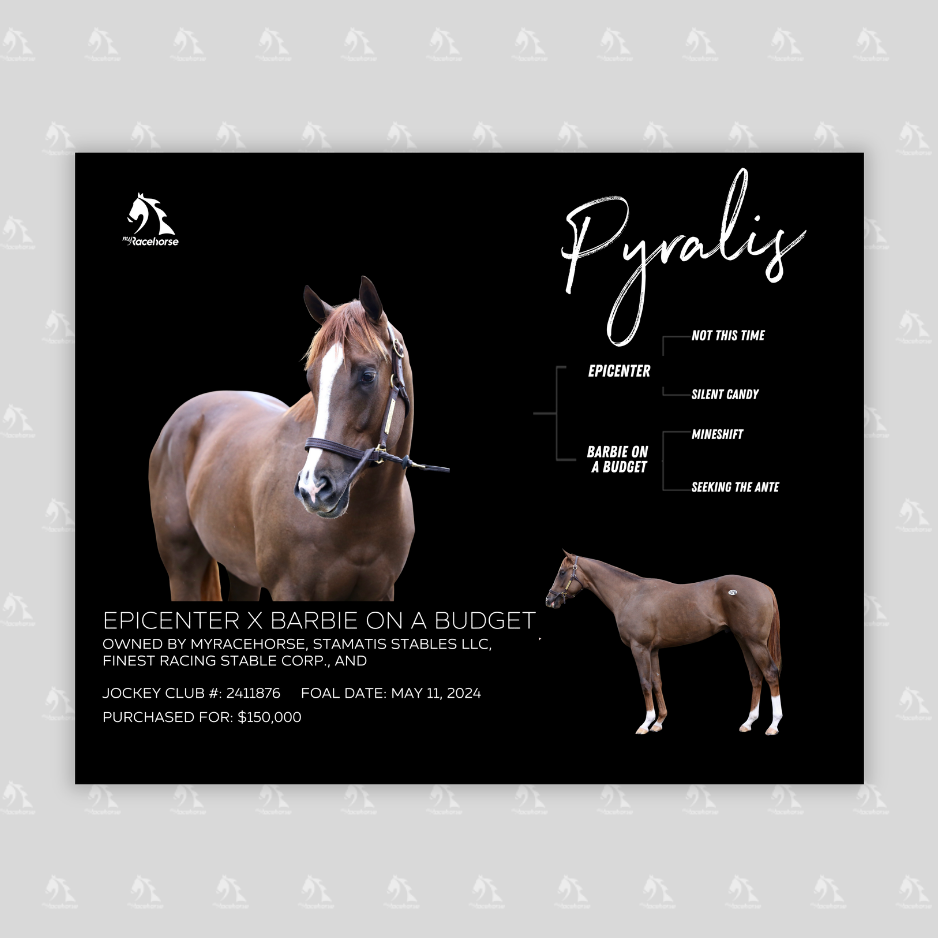 Pyralis Owner Photo