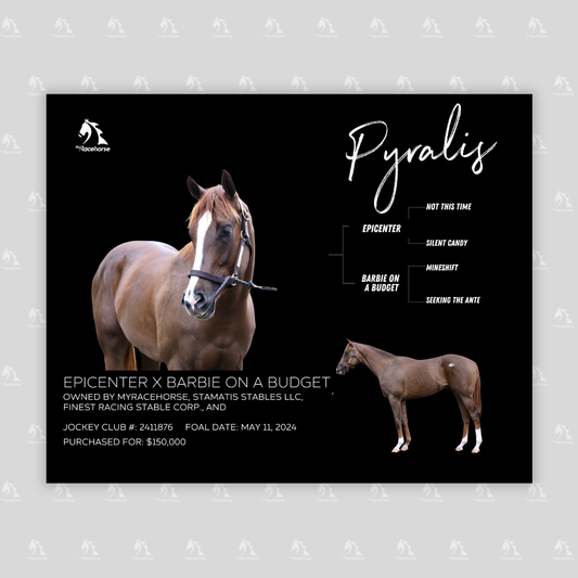 Pyralis Owner Photo