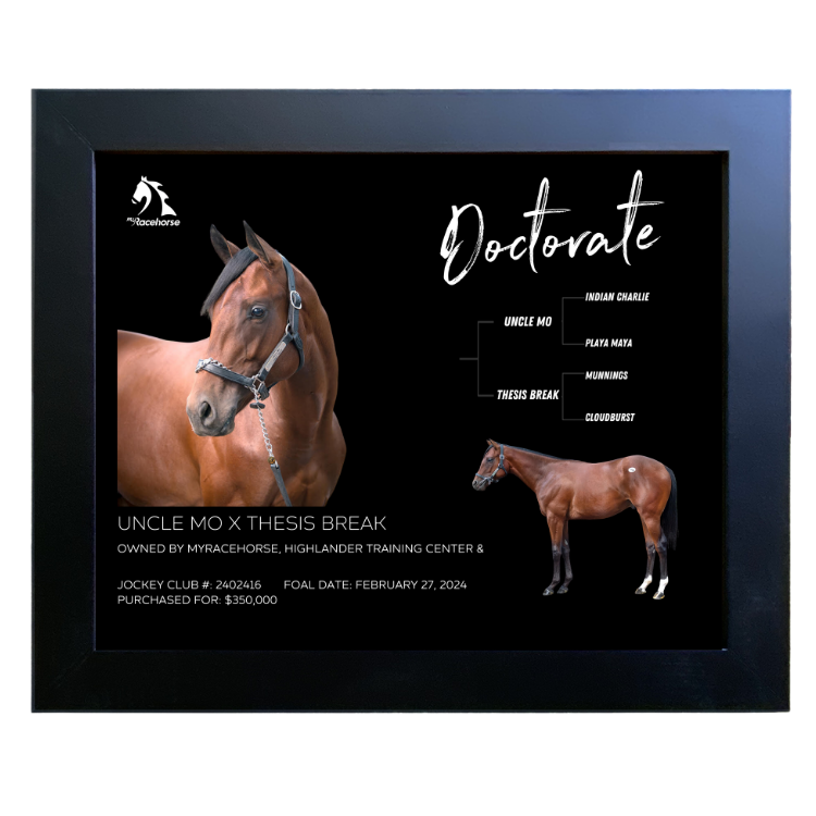 Doctorate Owner Photo