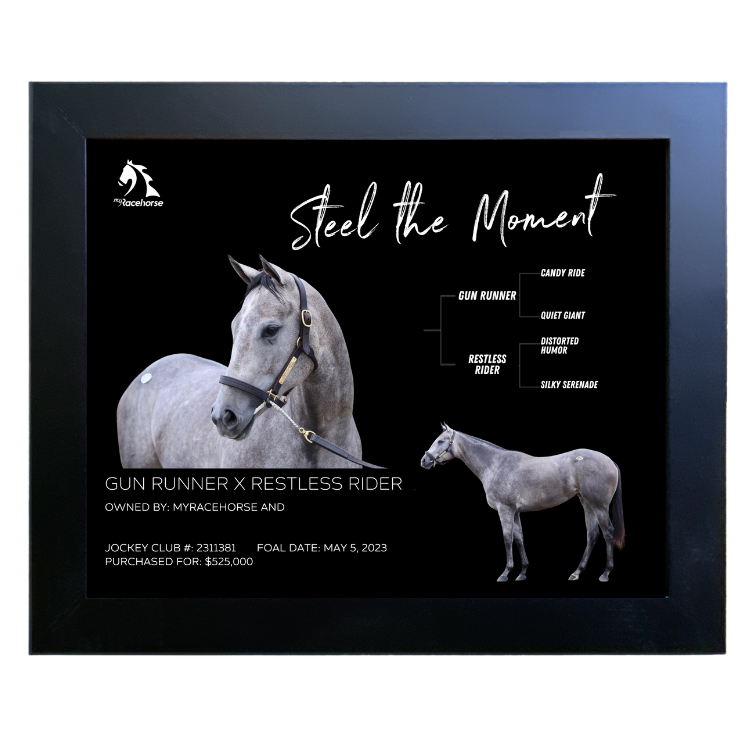 Steel the Moment Owner Photo