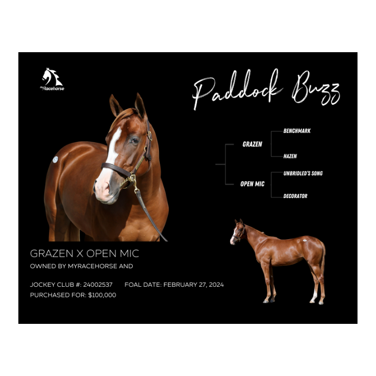 Paddock Buzz Owner Photo