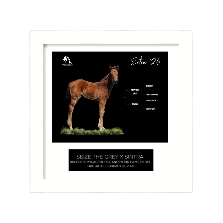 Seize the Grey X Sintra '26 - Breeder's Photo