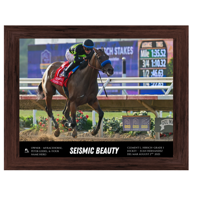 Seismic Beauty Custom Win Photo #1 - Clement L. Hirsch -G1