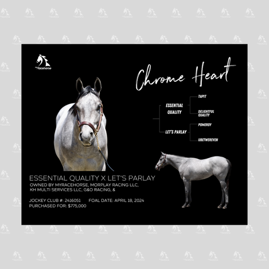 Chrome Heart Owner Photo