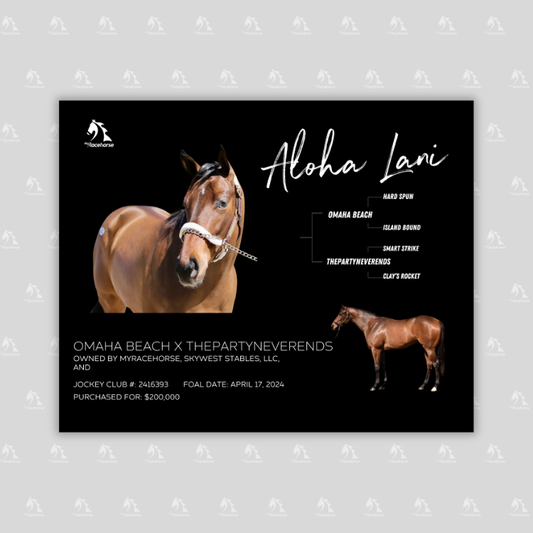Aloha Lani Owner Photo