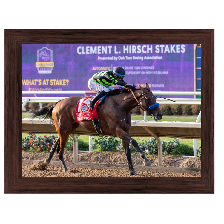 Seismic Beauty Win Photo #3 - Clement L. Hirsch -G1