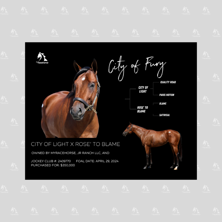 City of Fury Owner Photo