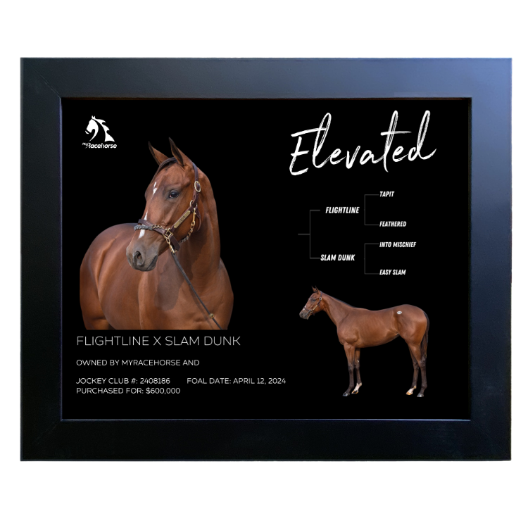 Elevated Owner Photo