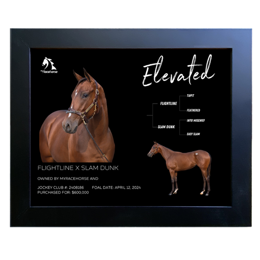 Elevated Owner Photo