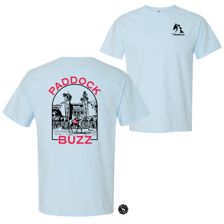 Paddock Buzz Unisex - Comfort Colors Heavy Weight T-Shirt