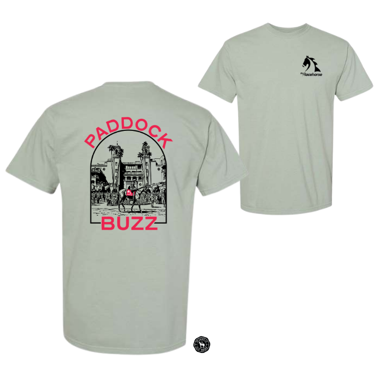 Paddock Buzz Unisex - Comfort Colors Heavy Weight T-Shirt