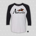 Load image into Gallery viewer, Amplified Unisex 3/4 Sleeve Raglan T-Shirt
