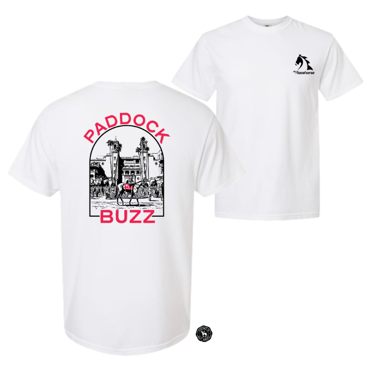 Paddock Buzz Unisex - Comfort Colors Heavy Weight T-Shirt