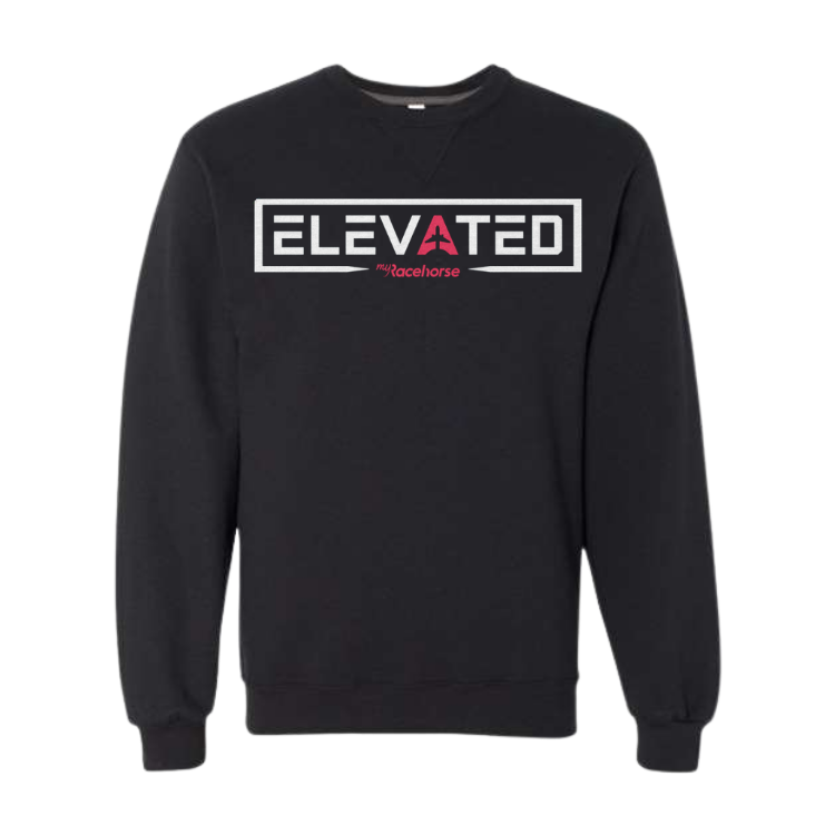 Elevated Unisex Crewneck Sweater