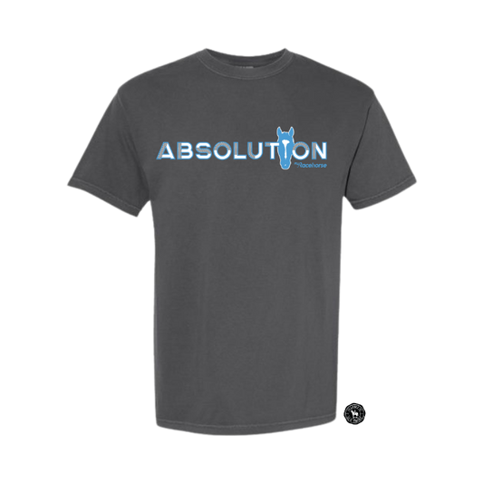 Absolution Unisex - Comfort Colors Heavy Weight T-Shirt