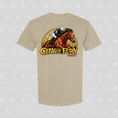 Load image into Gallery viewer, City of Fury - Comfort Colors Heavy Weight T-Shirt
