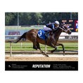 Load image into Gallery viewer, Reputation Custom Win Photo - Tyson Gilpin Stakes #2
