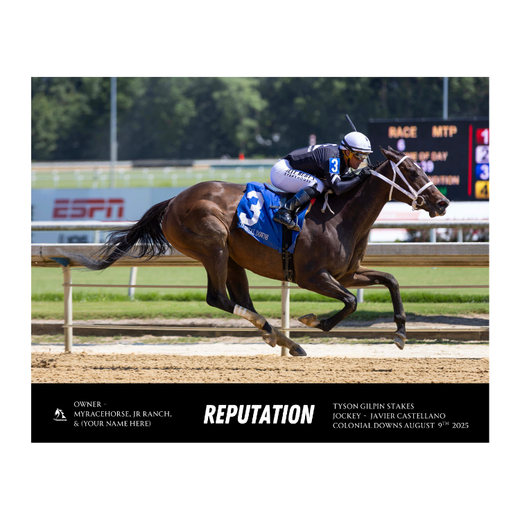 Reputation Custom Win Photo - Tyson Gilpin Stakes #2