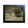Load image into Gallery viewer, Vekoma X Littlest Warrior 26' Candid Photo
