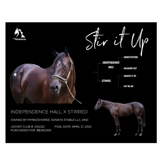 Stir it Up Owner Photo