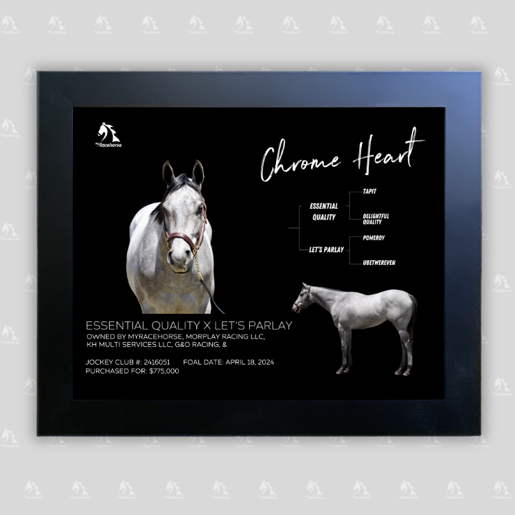 Chrome Heart Owner Photo
