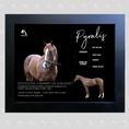 Load image into Gallery viewer, Pyralis Owner Photo
