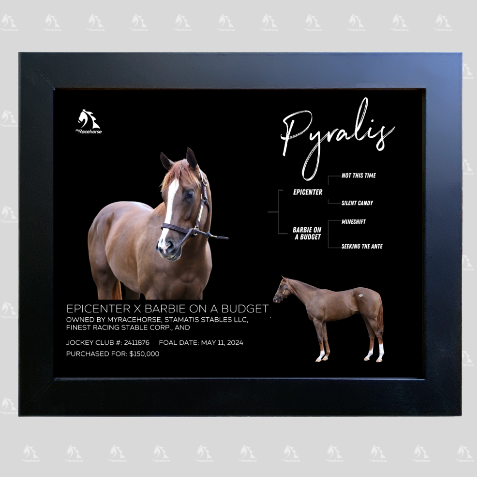 Pyralis Owner Photo