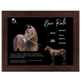 Load image into Gallery viewer, Bern Rate Owner Photo
