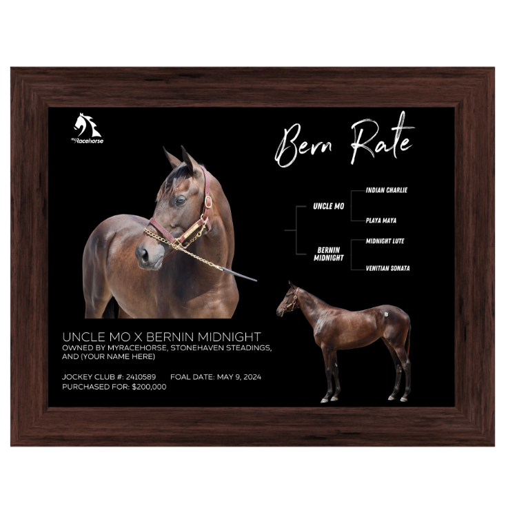 Bern Rate Owner Photo
