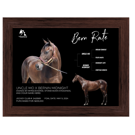 Bern Rate Owner Photo