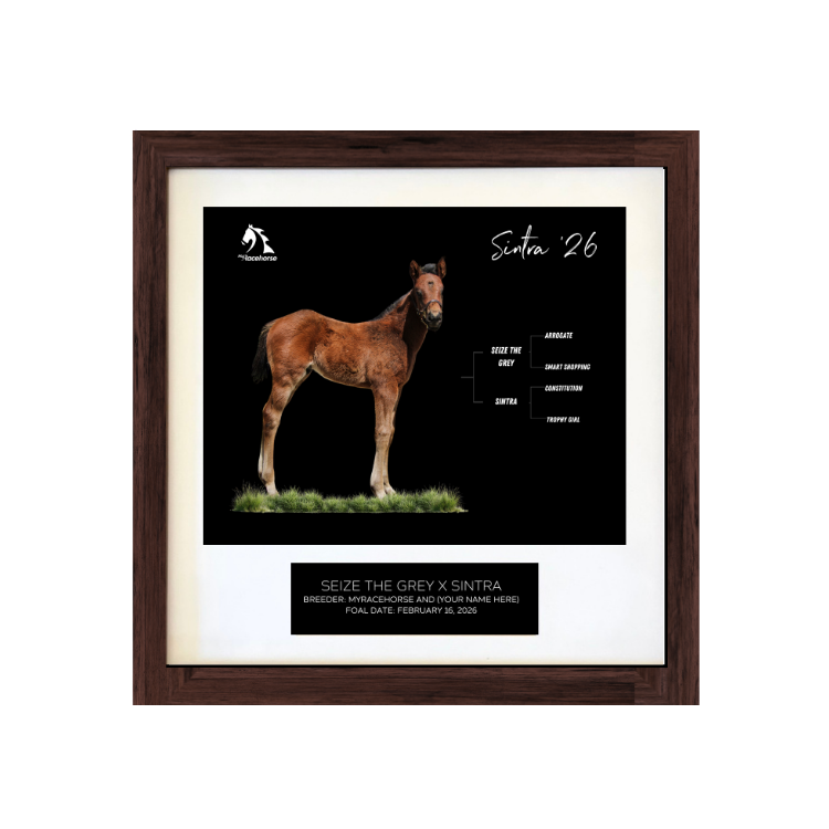 Seize the Grey X Sintra '26 - Breeder's Photo