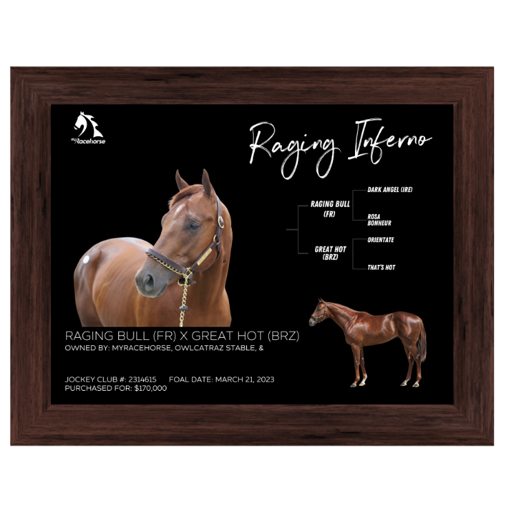 Raging Inferno Owner Photo