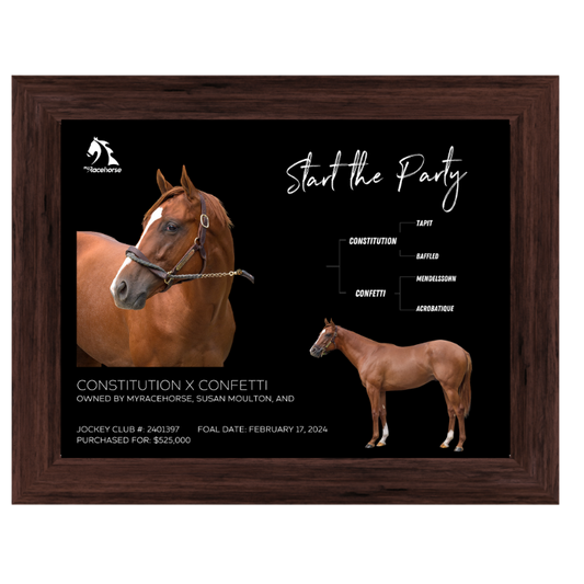 Start the Party Owner Photo