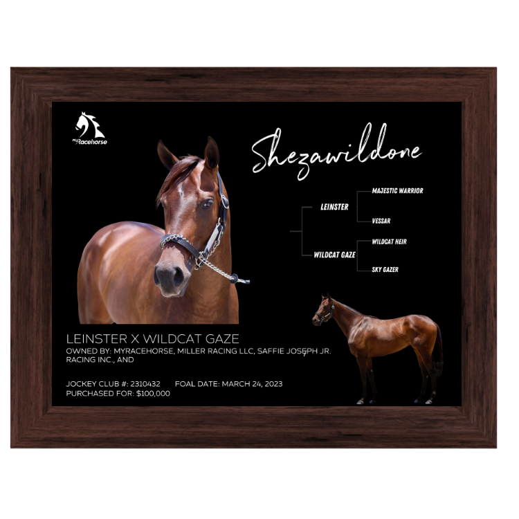 Shezawildone Owner Photo