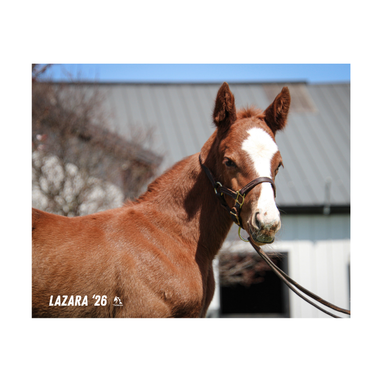 Prince of Monaco X Lazara 26' Candid Photo