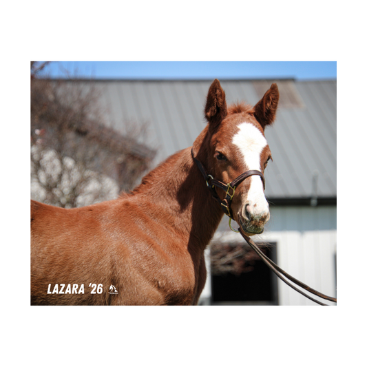 Prince of Monaco X Lazara 26' Candid Photo