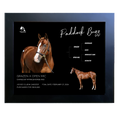 Load image into Gallery viewer, Paddock Buzz Owner Photo
