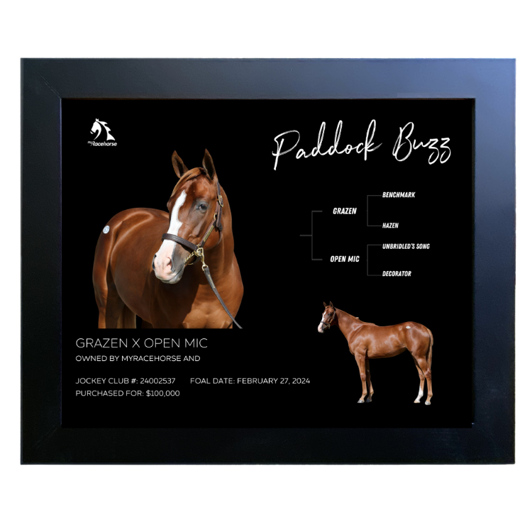 Paddock Buzz Owner Photo