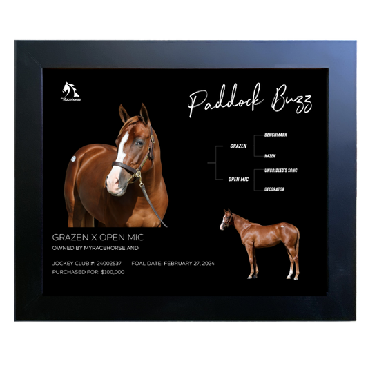 Paddock Buzz Owner Photo