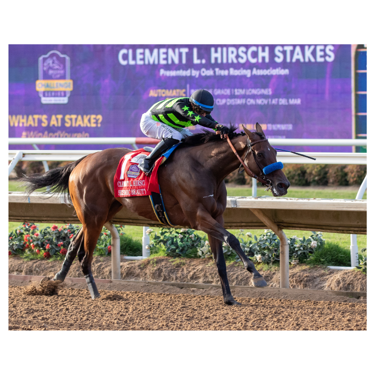 Seismic Beauty Win Photo #3 - Clement L. Hirsch -G1