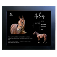 Load image into Gallery viewer, Helios Owner Photo
