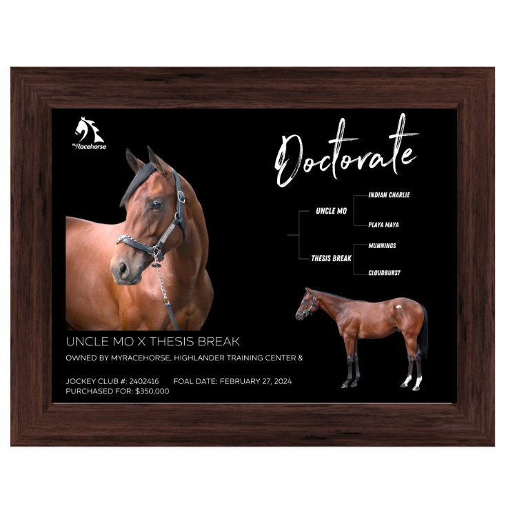 Doctorate Owner Photo