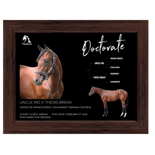 Doctorate Owner Photo