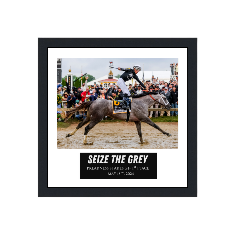 Seize the Grey - Preakness Stakes Photo Frame
