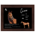 Load image into Gallery viewer, Circe Owner Photo
