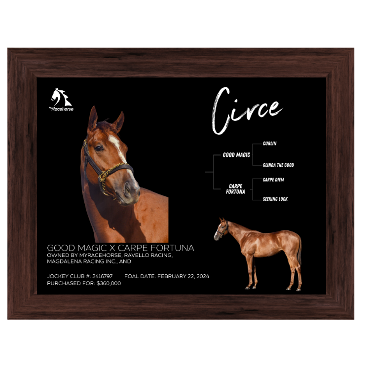Circe Owner Photo