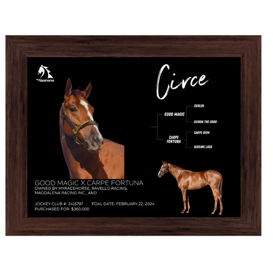 Circe Owner Photo