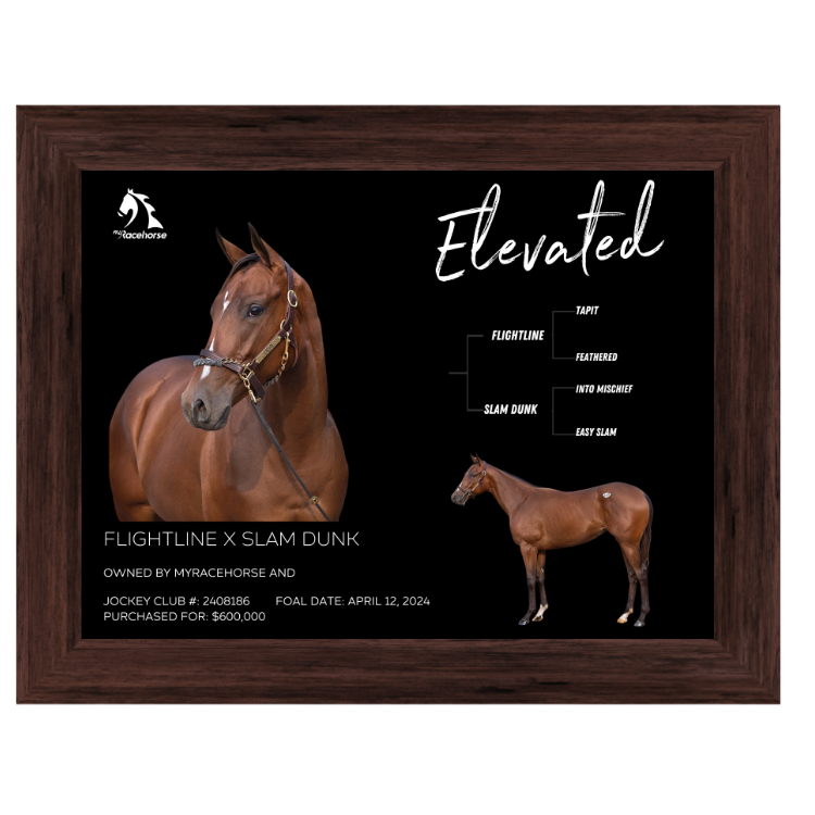 Elevated Owner Photo